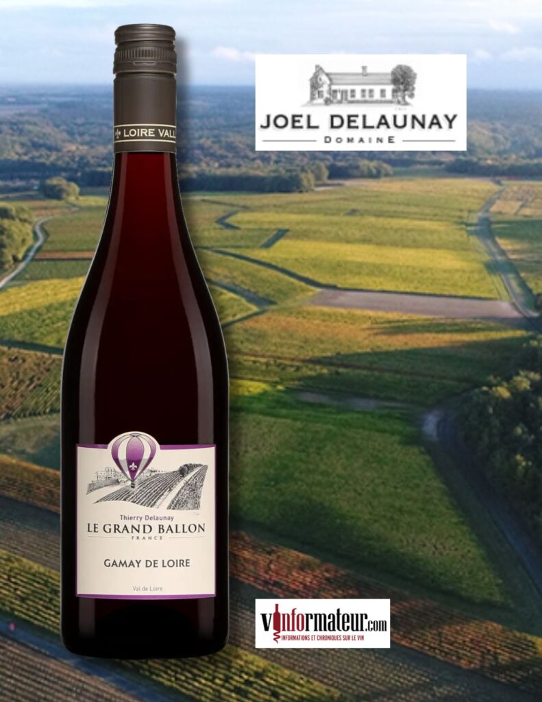 Le Grand Ballon, Gamay, vin rouge, Thierry Delaunay, 2022 bouteille
