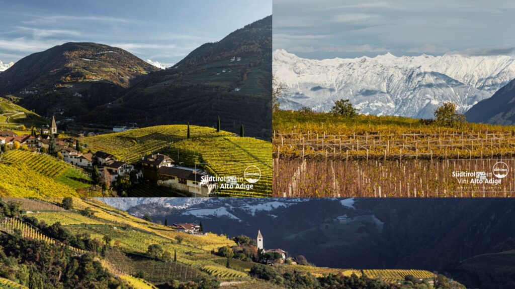 Terroirs d'Alto Adige/SudTirol