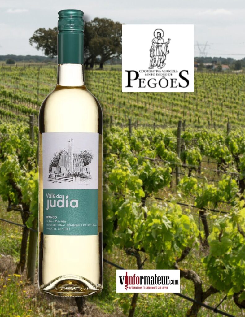 Vale da Judia, Branco, Portugal, Péninsule de Setubal, Coopérative Santo Isidro de Pegoes, vin blanc, 2023 bouteille