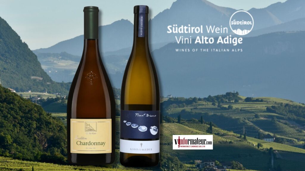 Dégustation des vins d'Alto Adige/SudTirol bouteille