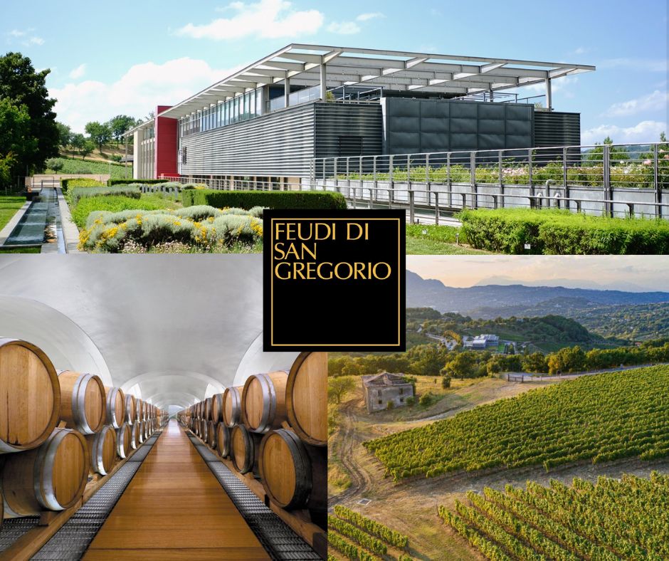 Feudi di San Gregorio: chai et vignobles