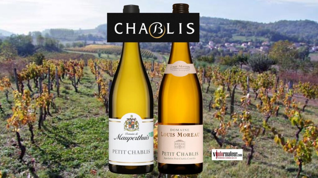 Petit Chablis 2023 : Domaine de Mauperthuis & Domaine Louis Moreau, deux styles à découvrir.