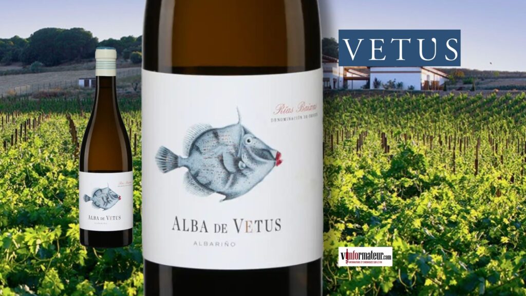Alba de Vetus, 2024. Un vin blanc aromatique et d’une fraîcheur remarquable!