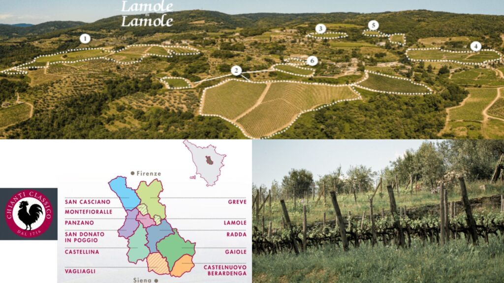 Carte viticole Chianti Classico - Lamole