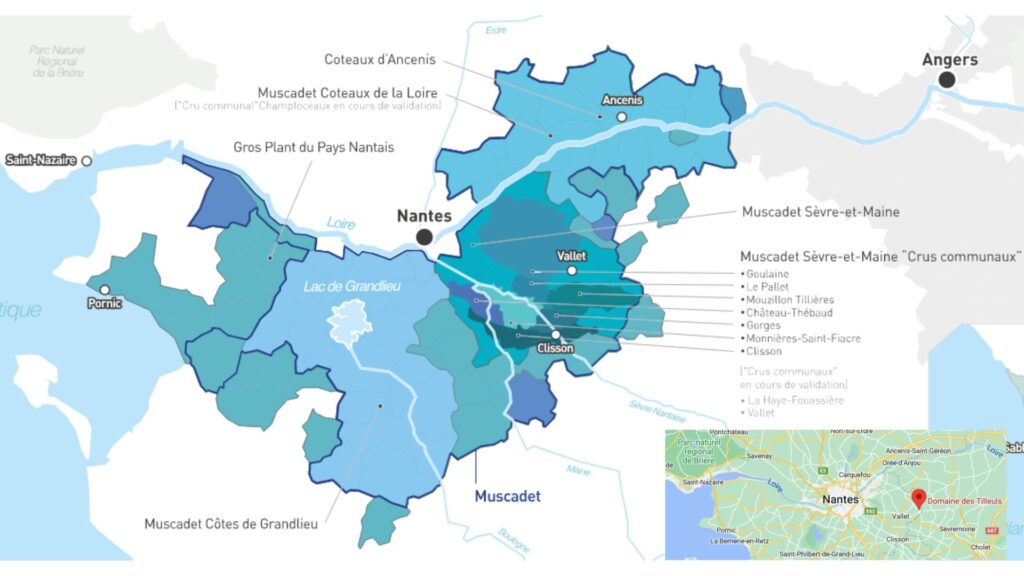 Carte viticole Pays Nantais