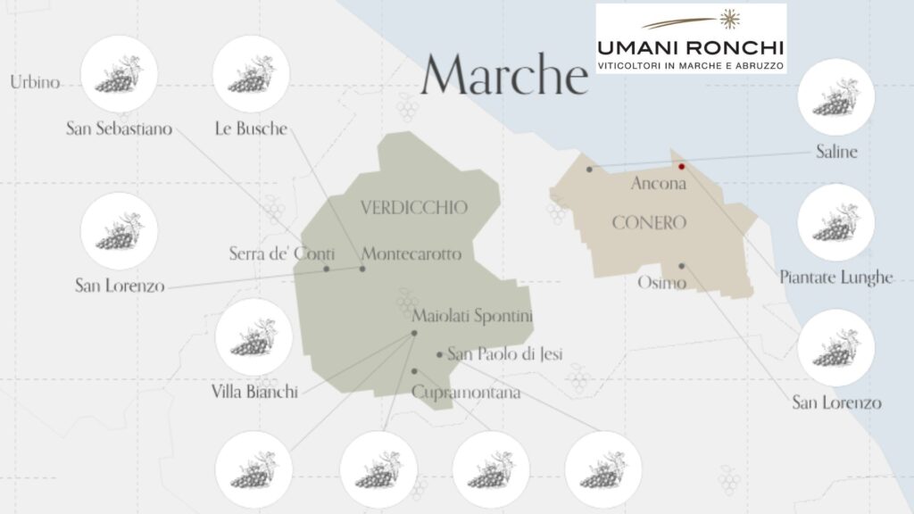 Carte viticole Les Marches