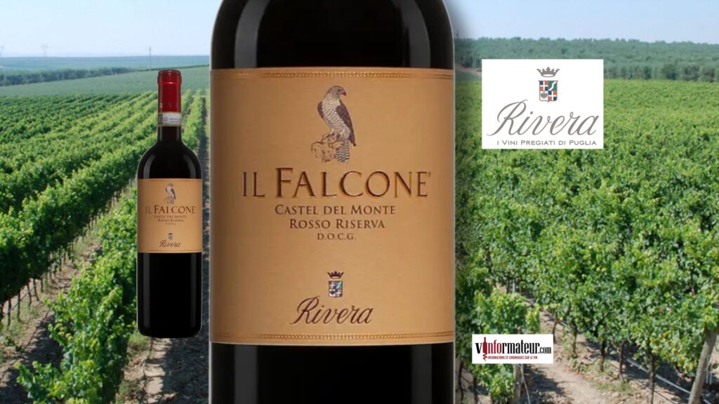 Rivera Il Falcone 2019 – Castel del Monte Rosso Riserva DOCG, un rouge d’exception des Pouilles à la SAQ.