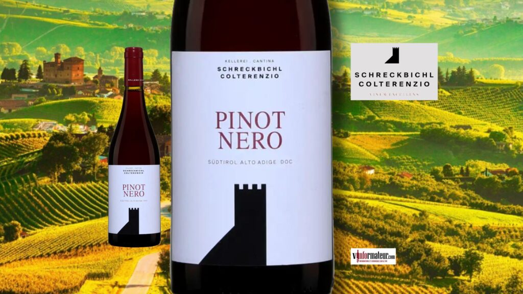 Sudtirol Alto Adige DOC – Pinot Nero 2024 de Kellerei Colterenzio : finesse et fraîcheur alpine (28,90 $ SAQ)