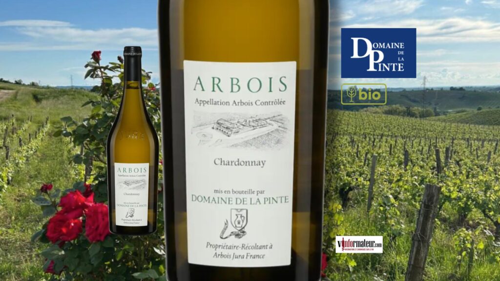 Chardonnay bio d’Arbois : Domaine de la Pinte 2022, l’élégance et l’intensité jurassienne à la SAQ