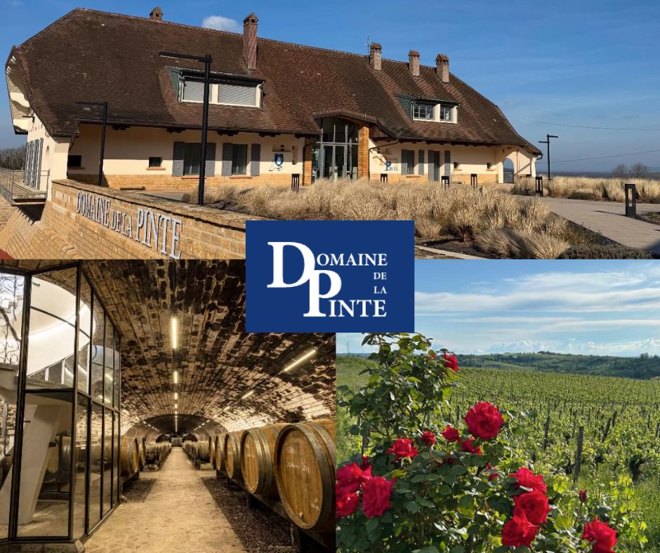 Domaine de la Pinte: chai et vignobles