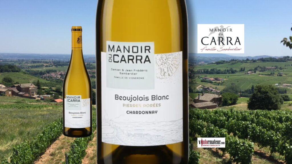 Manoir du Carra – Un Beaujolais blanc Pierres Dorées 2023 vibrant de fraîcheur et de minéralité.