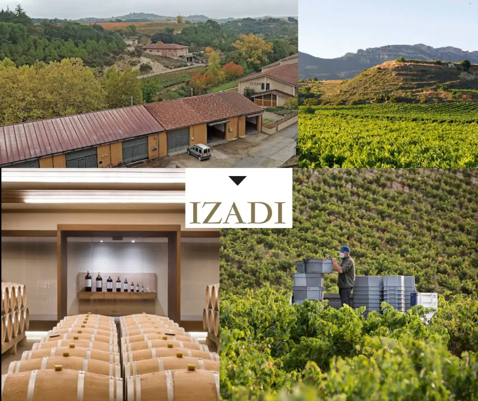 Izadi Winery: chai et vignobles