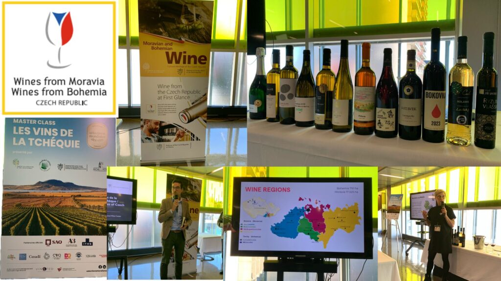 Tout savoir sur les vins de Tchéquie : Moravie, Bohême, cépages et traditions