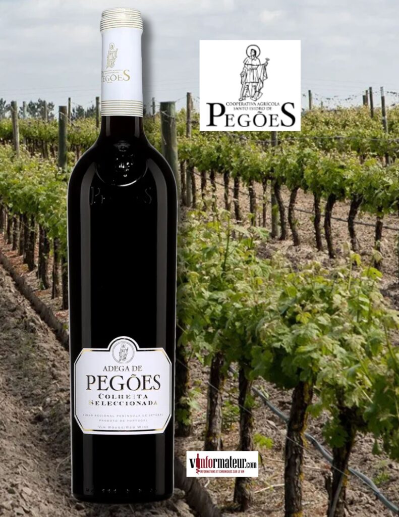 Adega de Pegoes, Colheita Seleccionada, Portugal, Péninsule de Setubal, vin rouge, 2021 bouteille