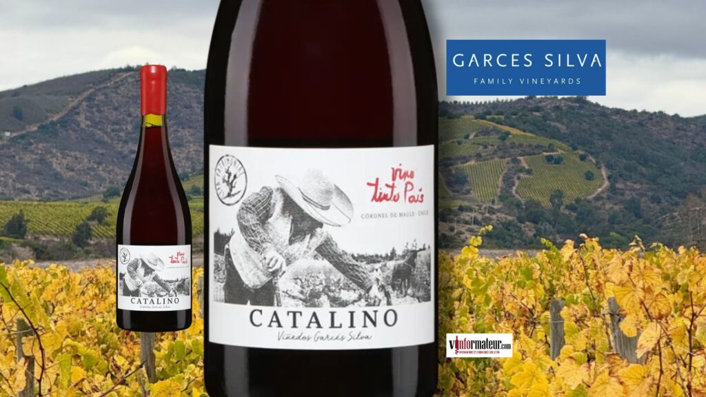 Catalino País 2022 – Rouge nature chilien issu de vignes centenaires 🌿🍒