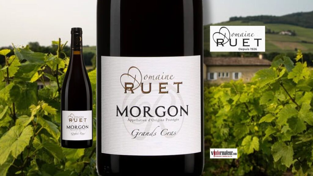 Domaine Ruet signe un Morgon Grands Cras 2024 bio vibrant de fruit et de tension 🍇