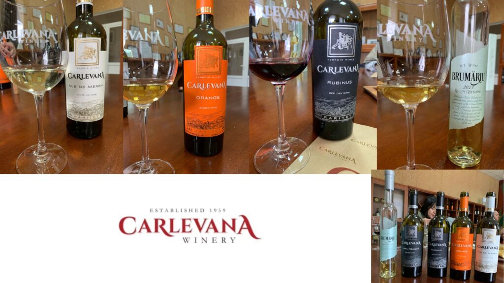 Dégustation des vins de Carlevana Winery