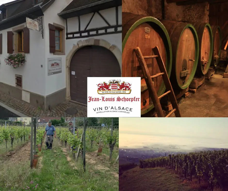 Jean-Louis Schoepfer: chai et vignobles