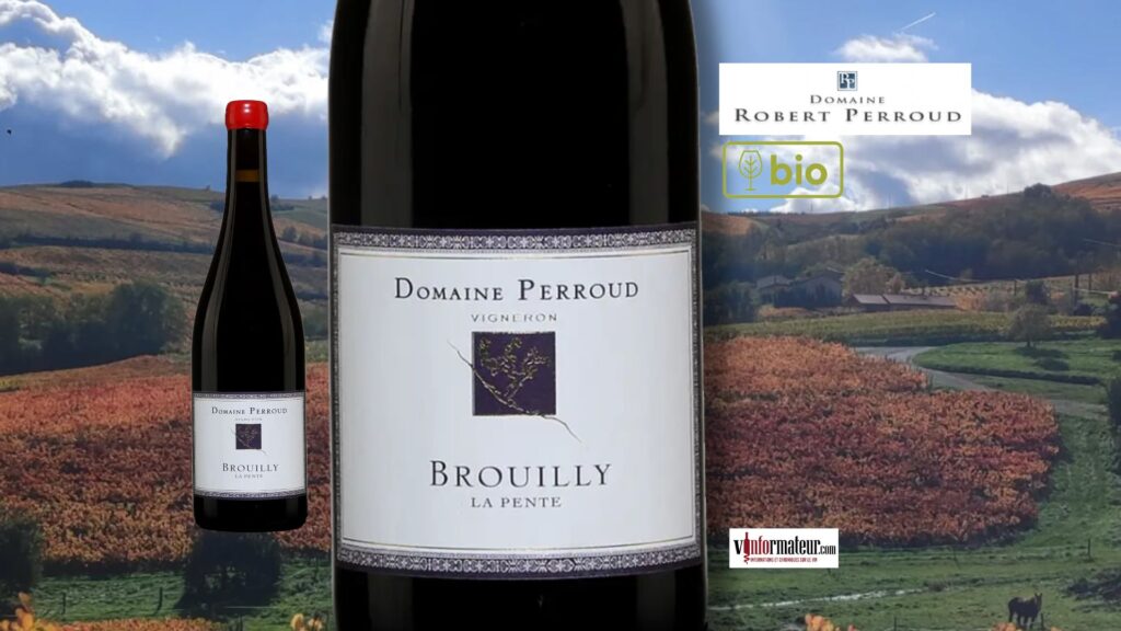 Brouilly “Les Pentes” 2023 : un Beaujolais bio vibrant de fruit et d’énergie