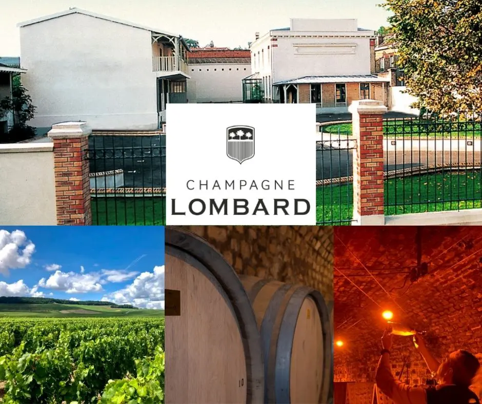 Champagne Médot/Lombard: chai et vignobles