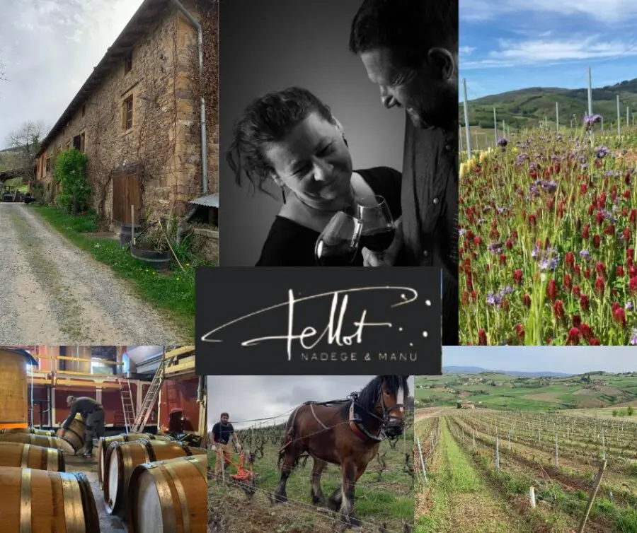 Domaine Emmanuel Fellot: Nadège et Manu Fellot, chai et vignobles