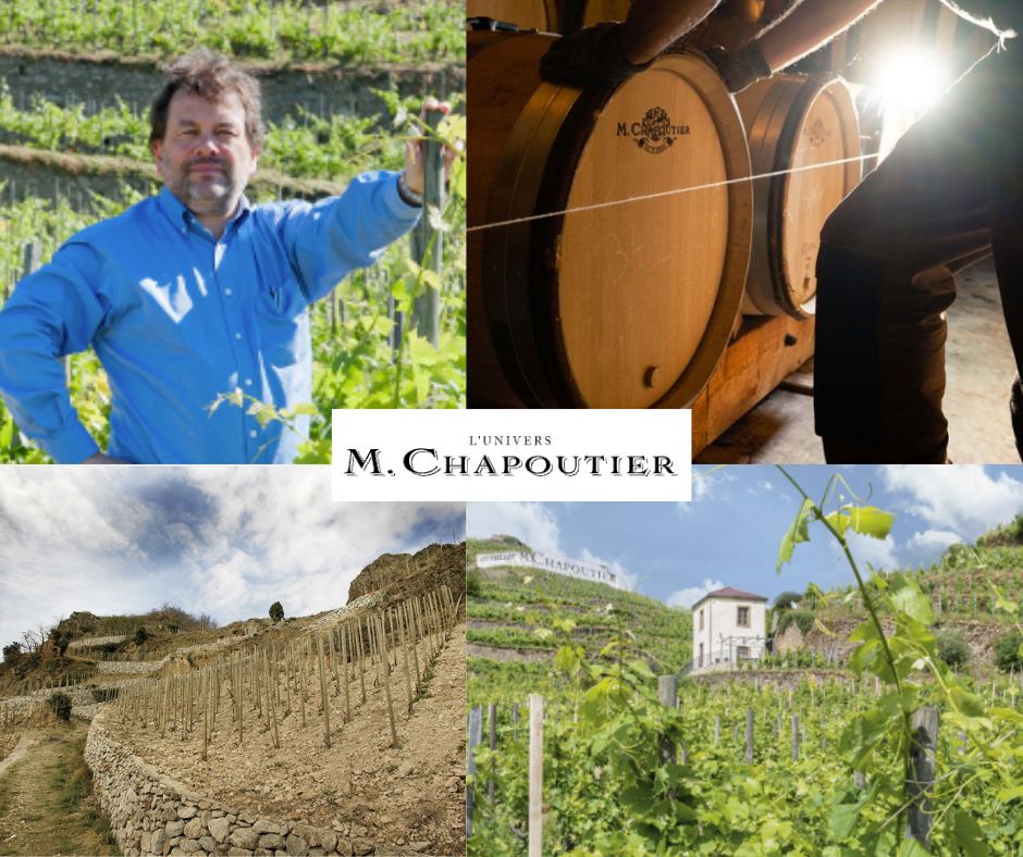 M. Chapoutier: chai et vignobles