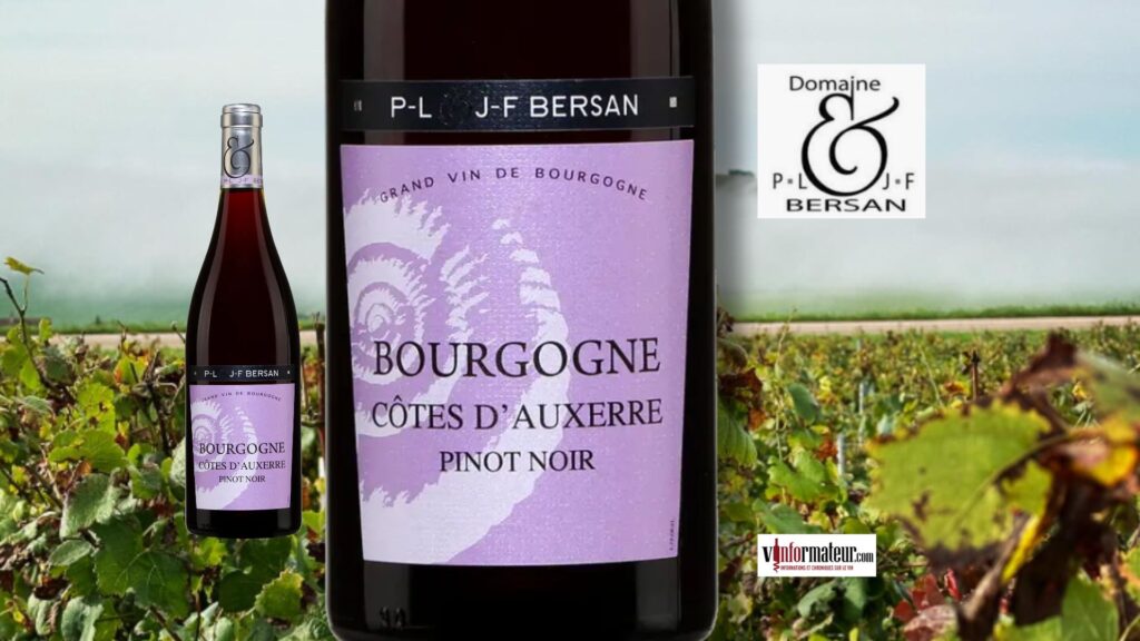 Pinot Noir des Côtes d’Auxerre 2022 : la finesse kimméridgienne selon le Domaine Bersan
