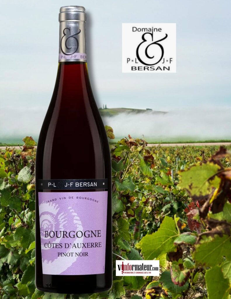 Pinot Noir, Côtes d’Auxerre, Bourgogne, P-L & J-F Bersan, vin rouge, 2022 bouteille