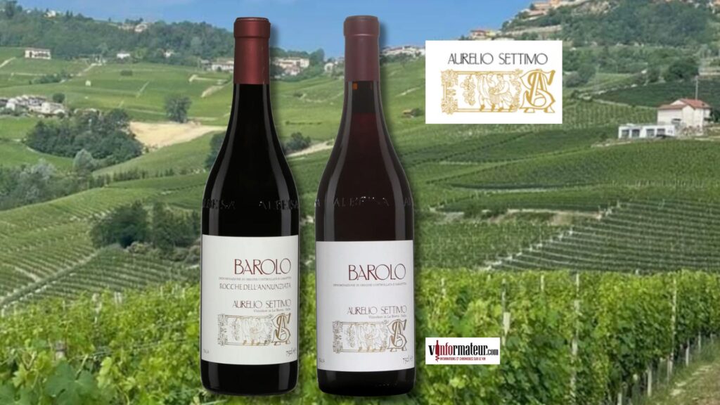 Deux expressions du Nebbiolo Barolo DOCG signées Aurelio Settimo