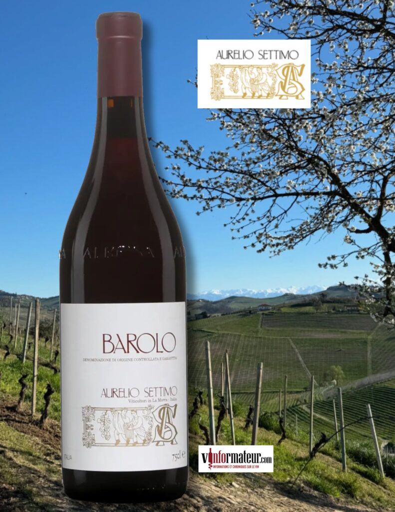 Nebbiolo, Barolo DOCG, Aurelio Settimo, vin rouge, 2019 bouteille