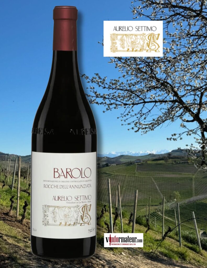 Nebbiolo, Barolo DOCG, Rocche Dell’Annunziata, Aurelio Settimo, vin rouge, 2019 bouteille