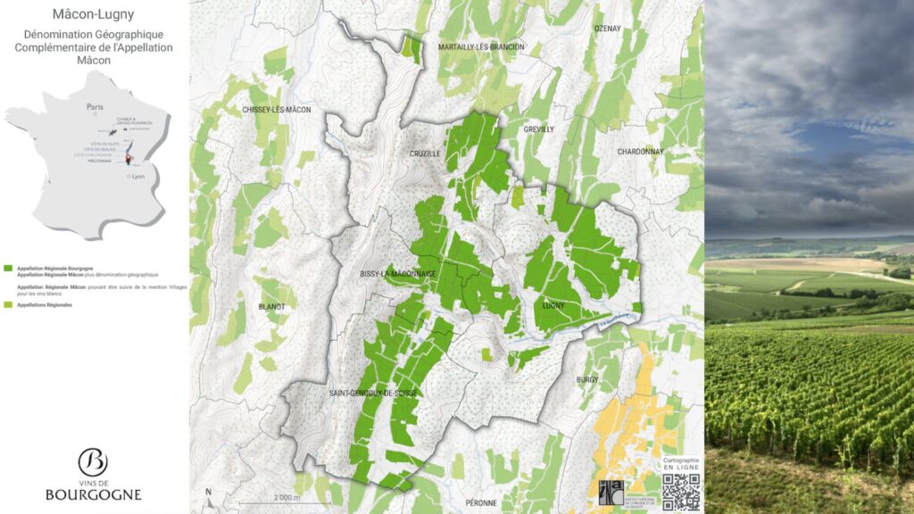 Carte viticole Mâcon-Lugny