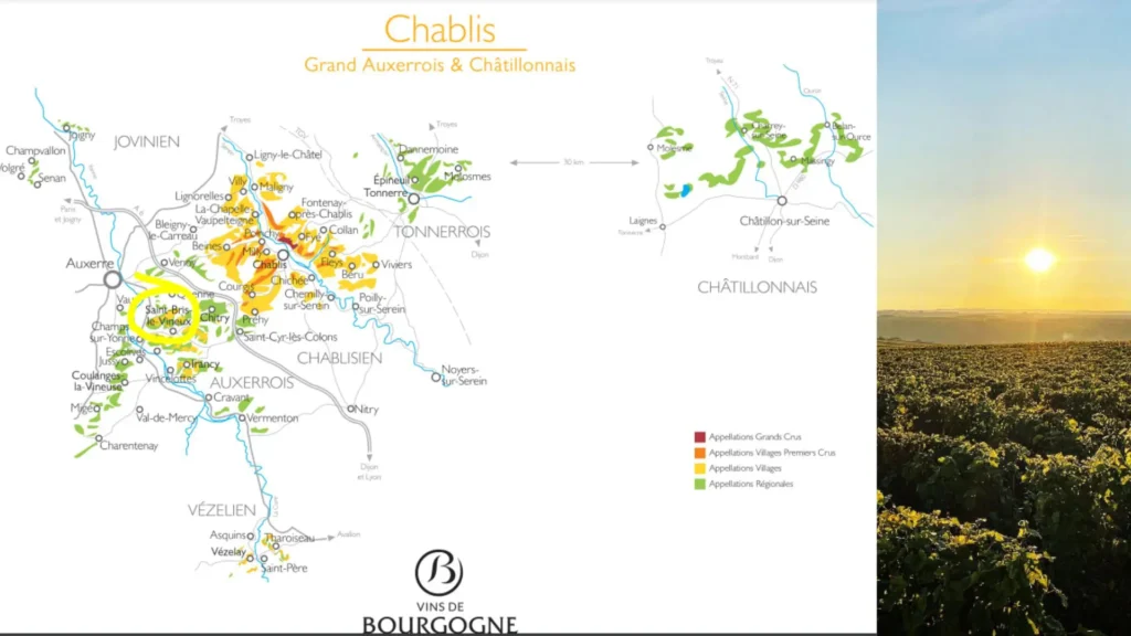 Carte viticole Saint-Bris