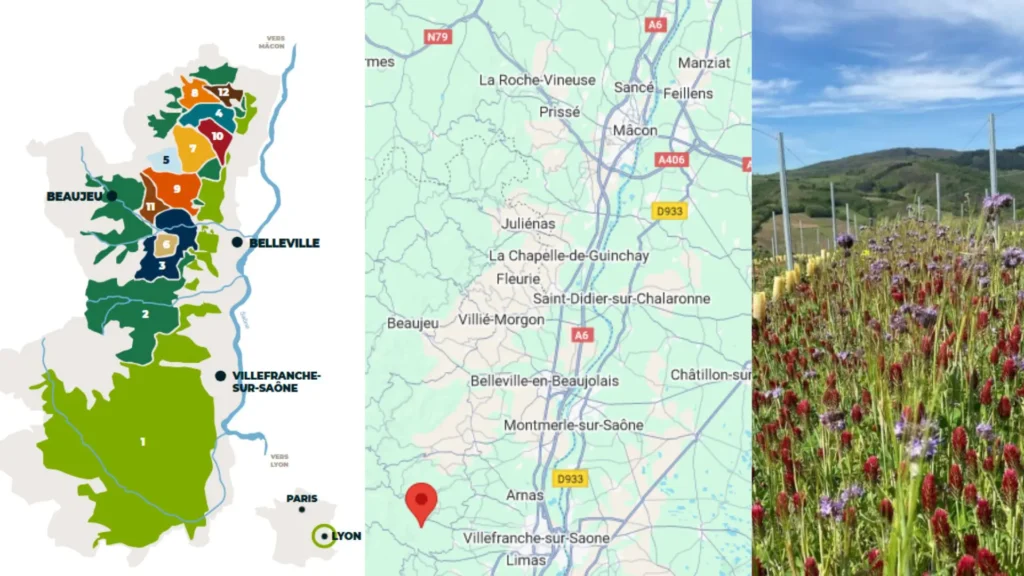 Carte Beaujolais - sud du Beaujolais