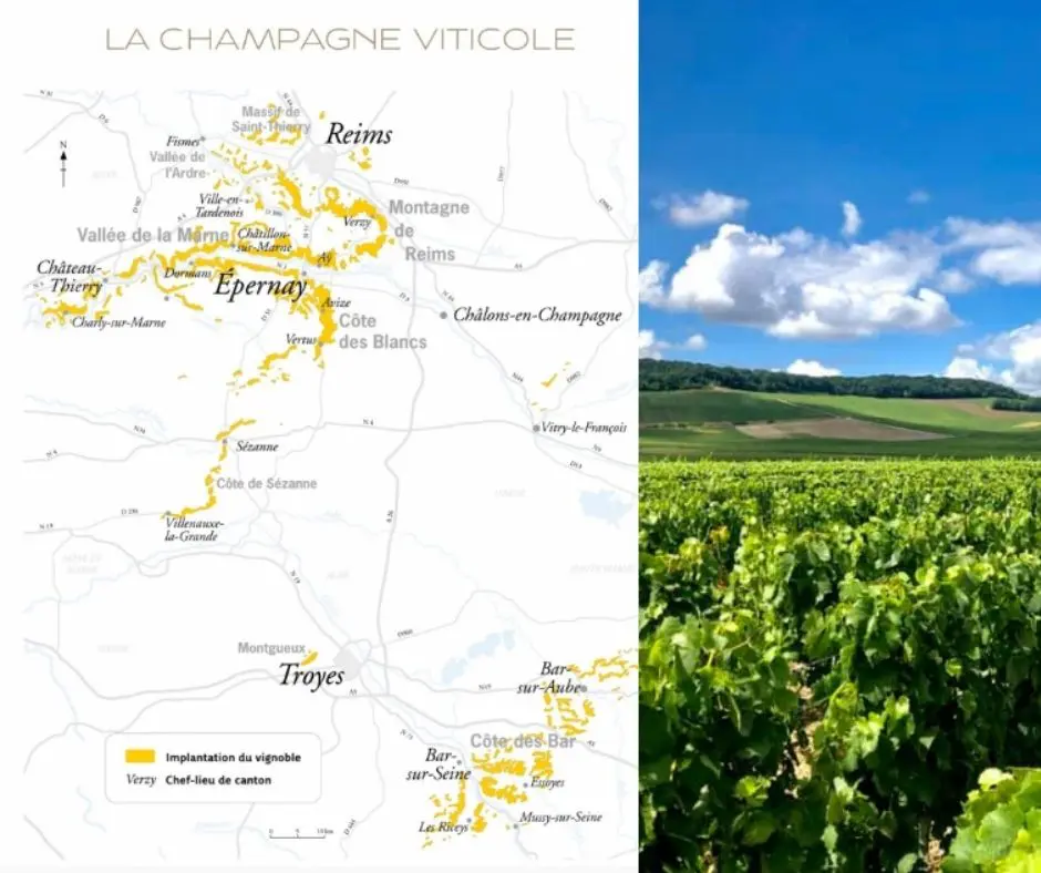 Carte viticole Champagne Montagne de Reims