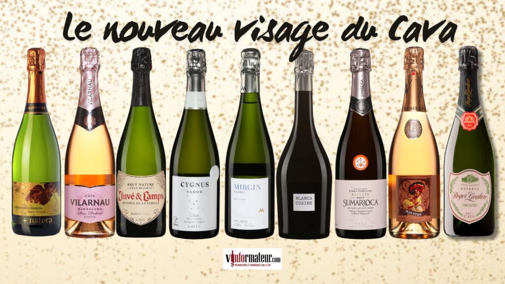 Cava : l’effervescent espagnol en pleine évolution