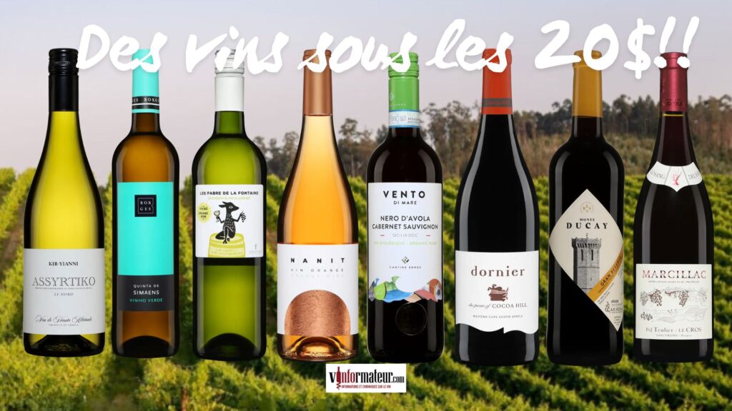 Huit vins sous les 20 $: six pays, un même objectif… le plaisir!🍷