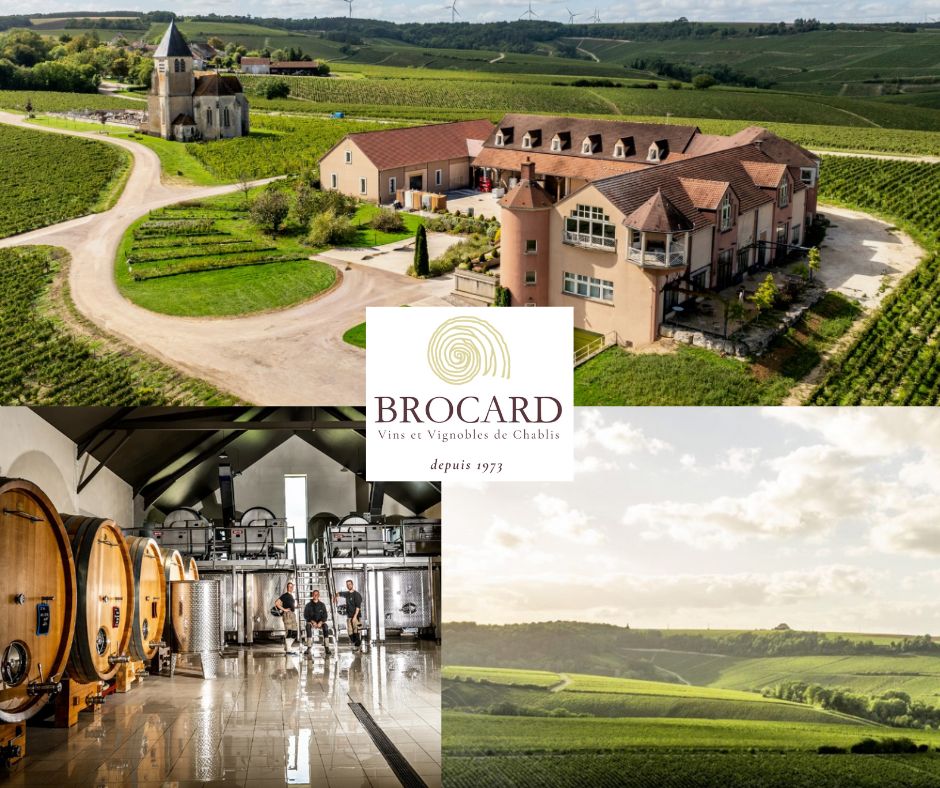 Domaine Jean-Marc Brocard: chai et vignobles