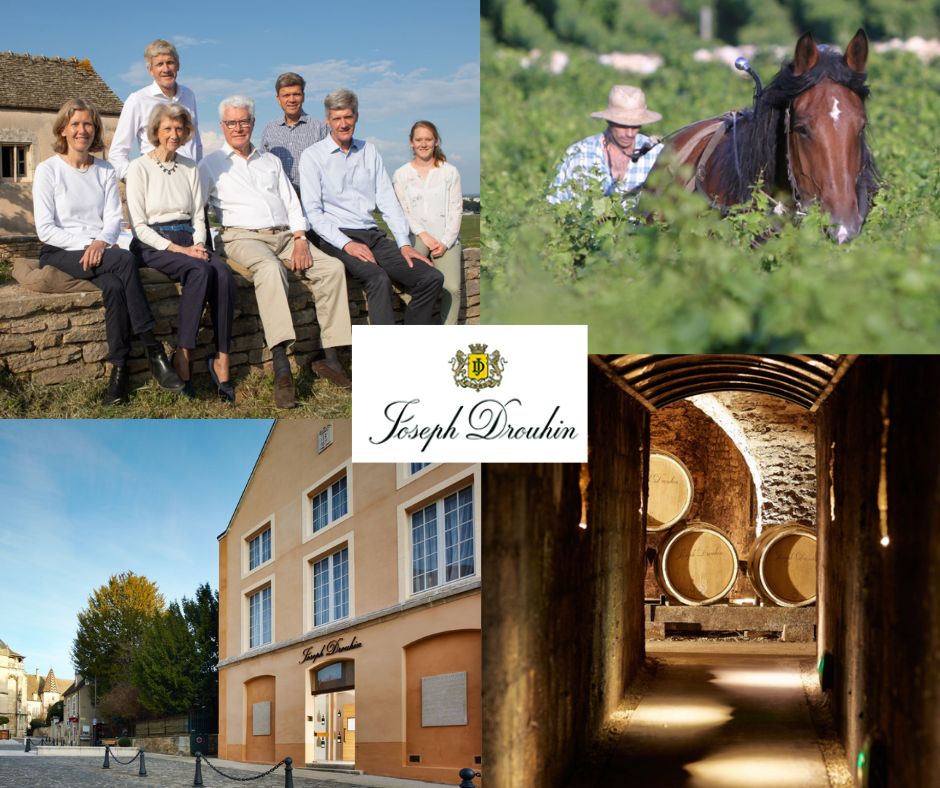 Joseph Drouhin: famille, chai et vignobles