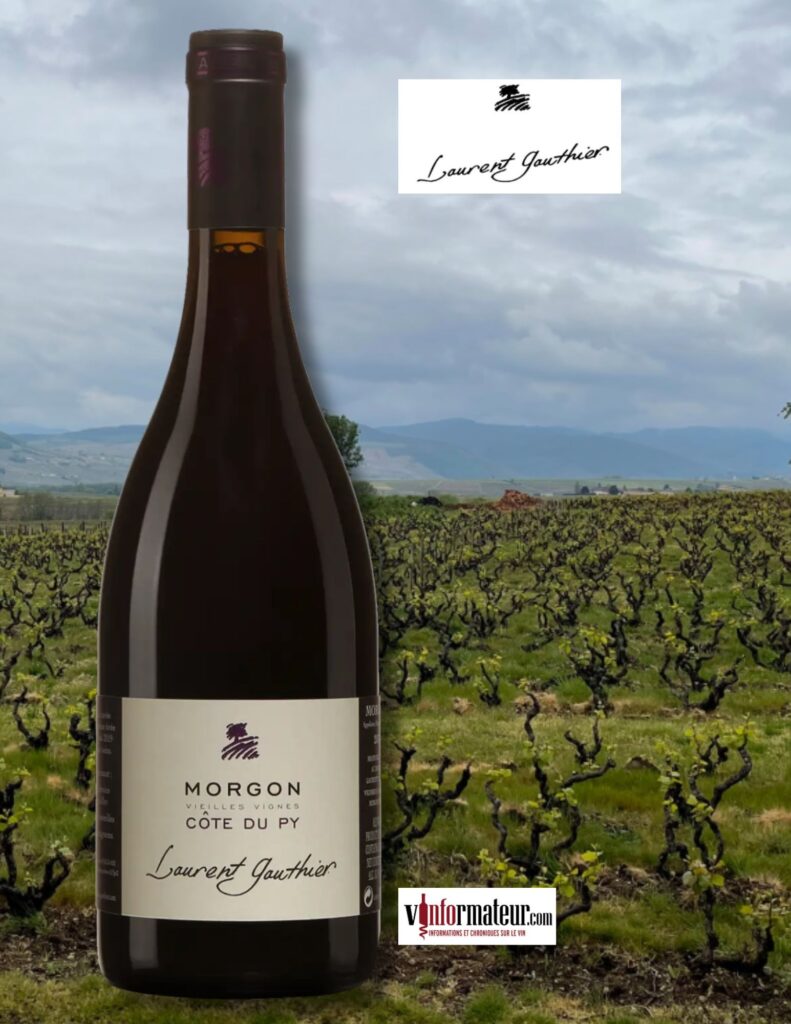 Morgon, Côte du Py, Vieilles Vignes, Beaujolais, Laurent Gauthier, vin rouge, Terra Vitis, 2023 bouteille