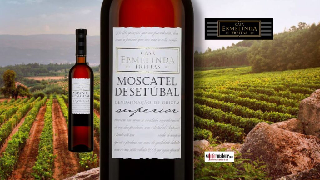 Moscatel de Setúbal 2010 : une douceur noble et raffinée