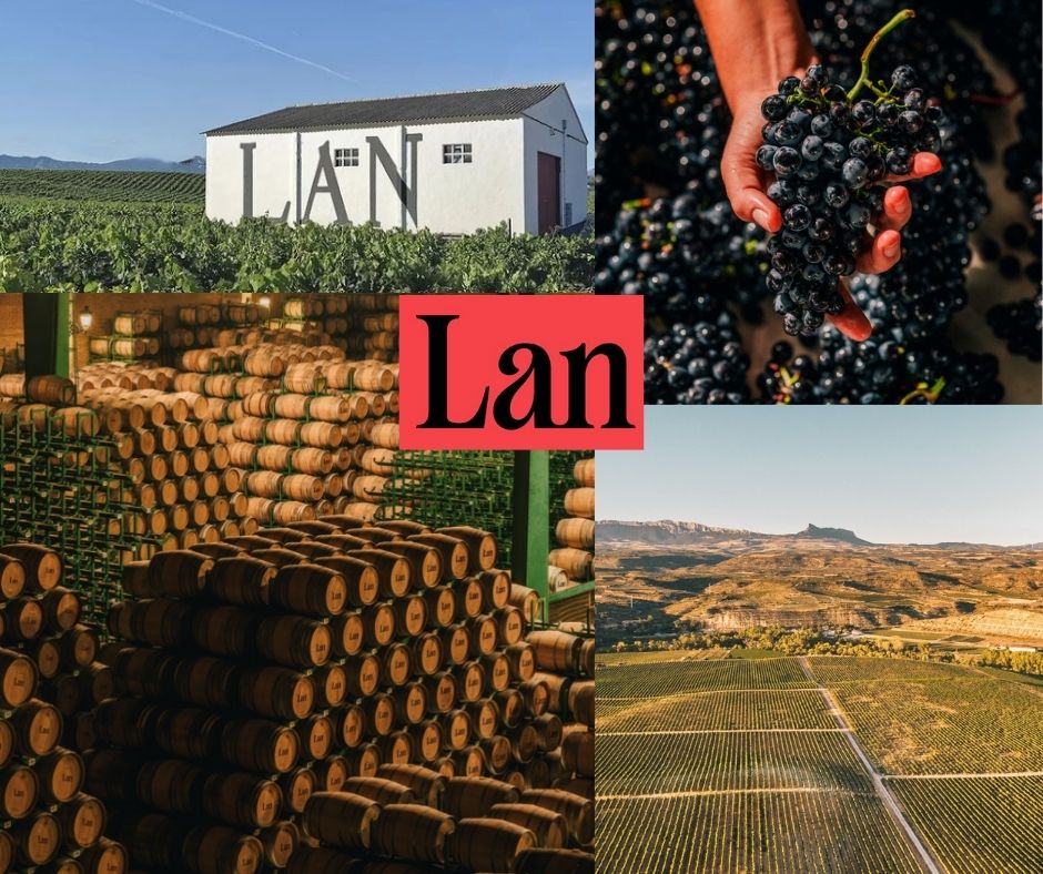 Bodegas Lan: chai et vignobles