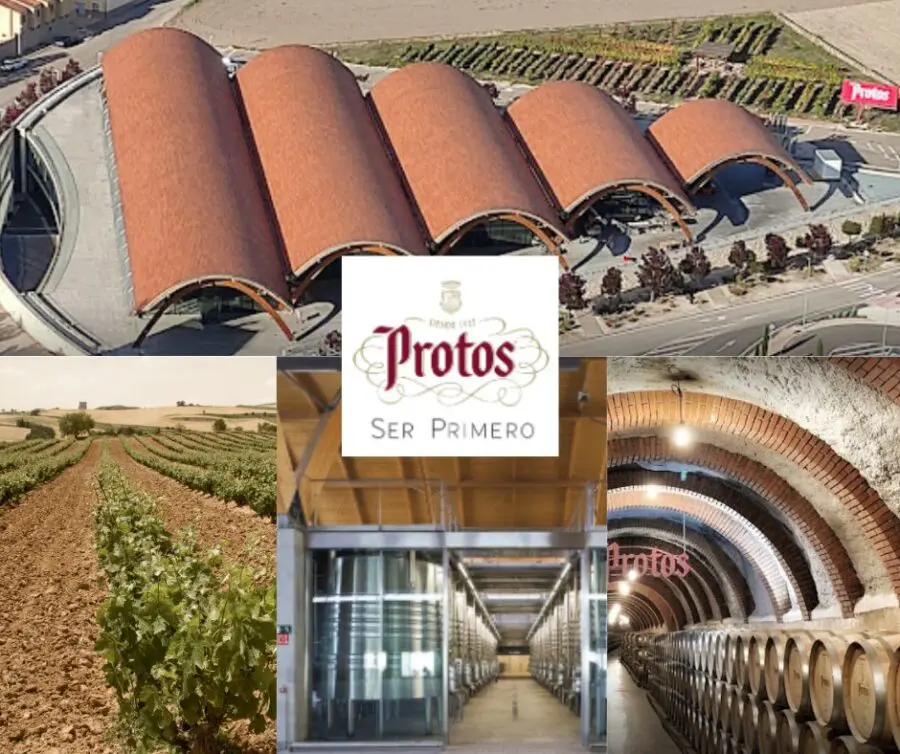 Bodegas Proto: chai et vignobles