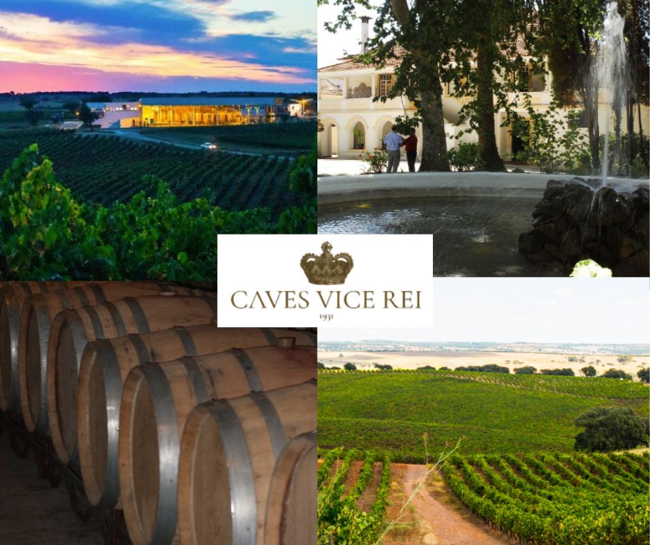 Caves Vice REi: chai et vignobles
