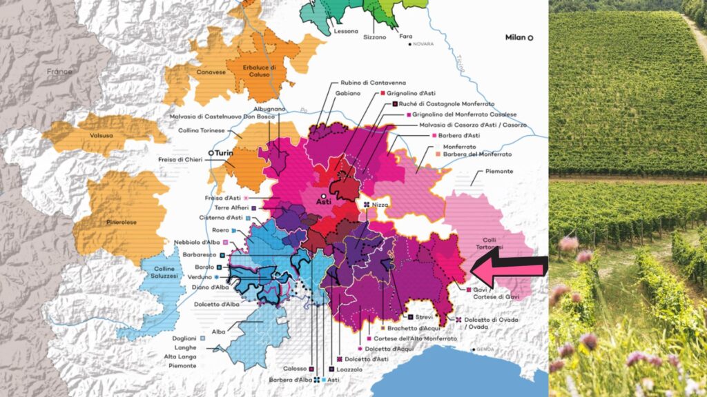 Carte viticole Gavi