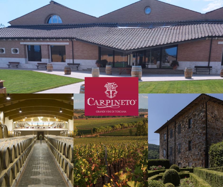 Carpineto: chai et vignobles
