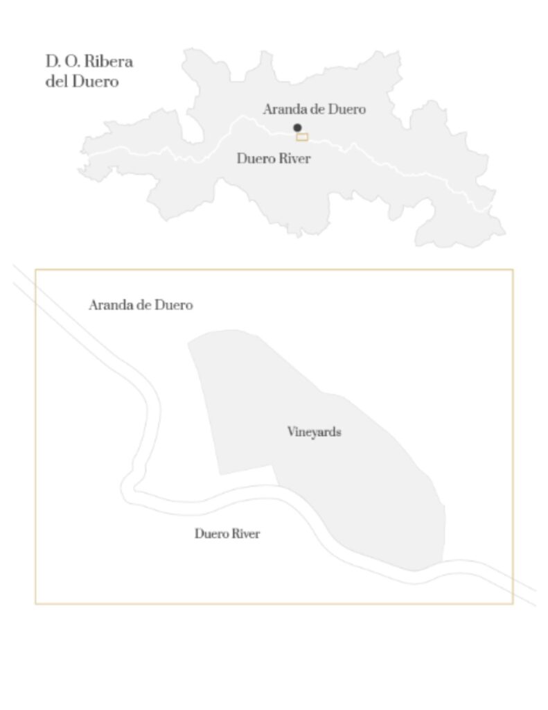 Carte viticole Ribera del Duero