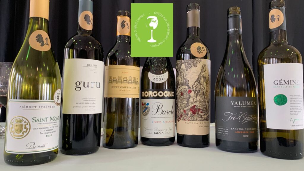 Dégustation masterclass Les vieilles vignes face aux changements climatiques