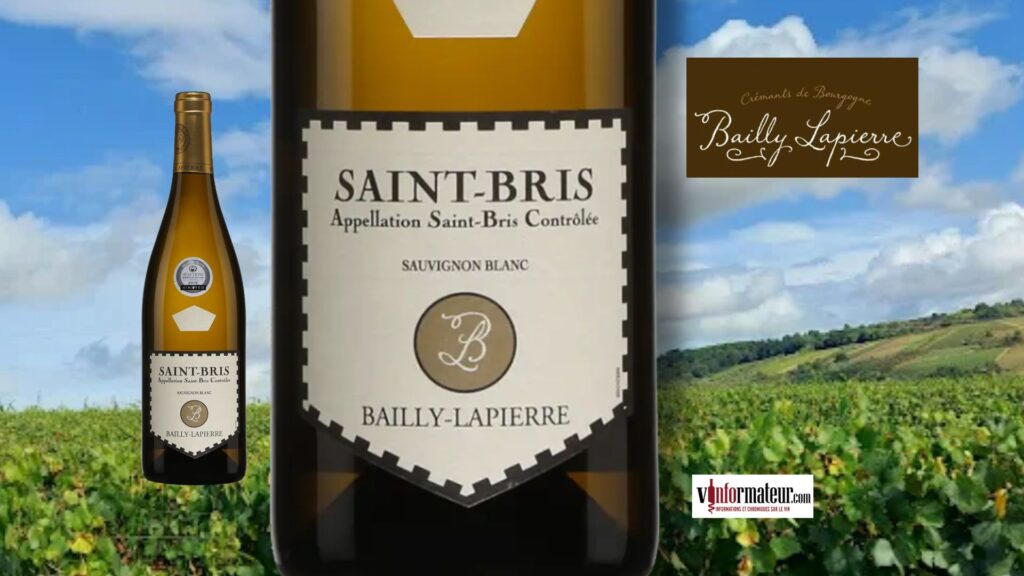 Saint-Bris 2023 : le Sauvignon blanc minéral et tendu de Bourgogne
