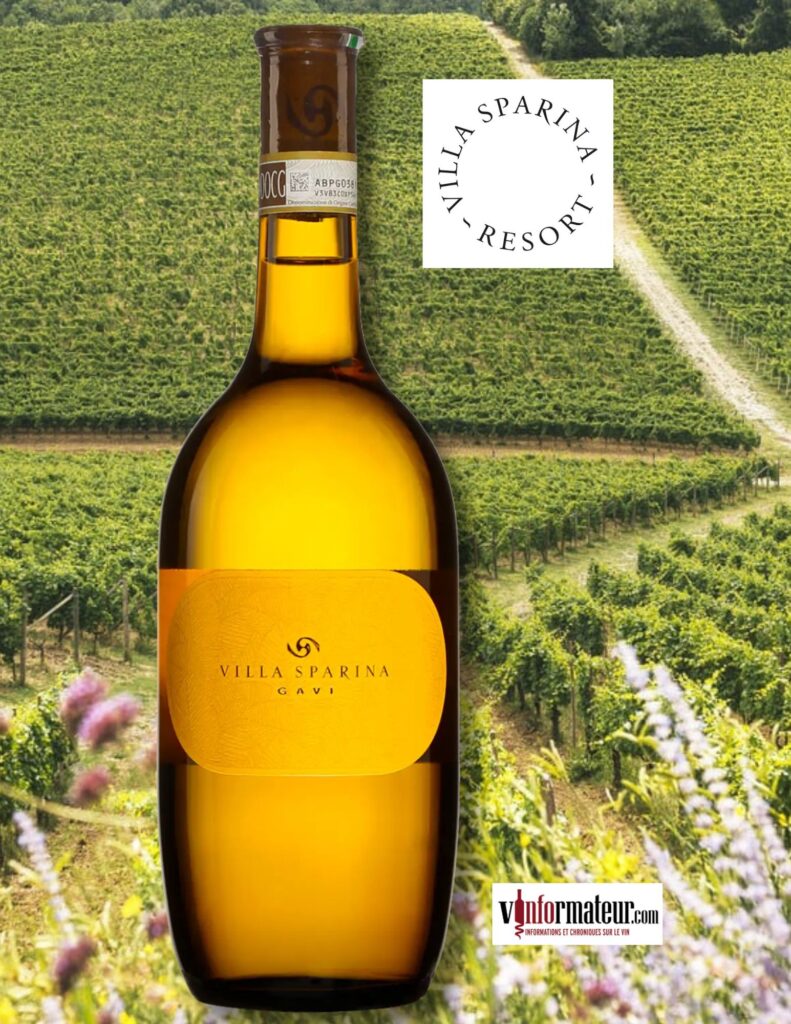 Villa Sparina, Italie, Piémont, Gavi del Comune di Gavi, vin blanc, 2024 bouteille